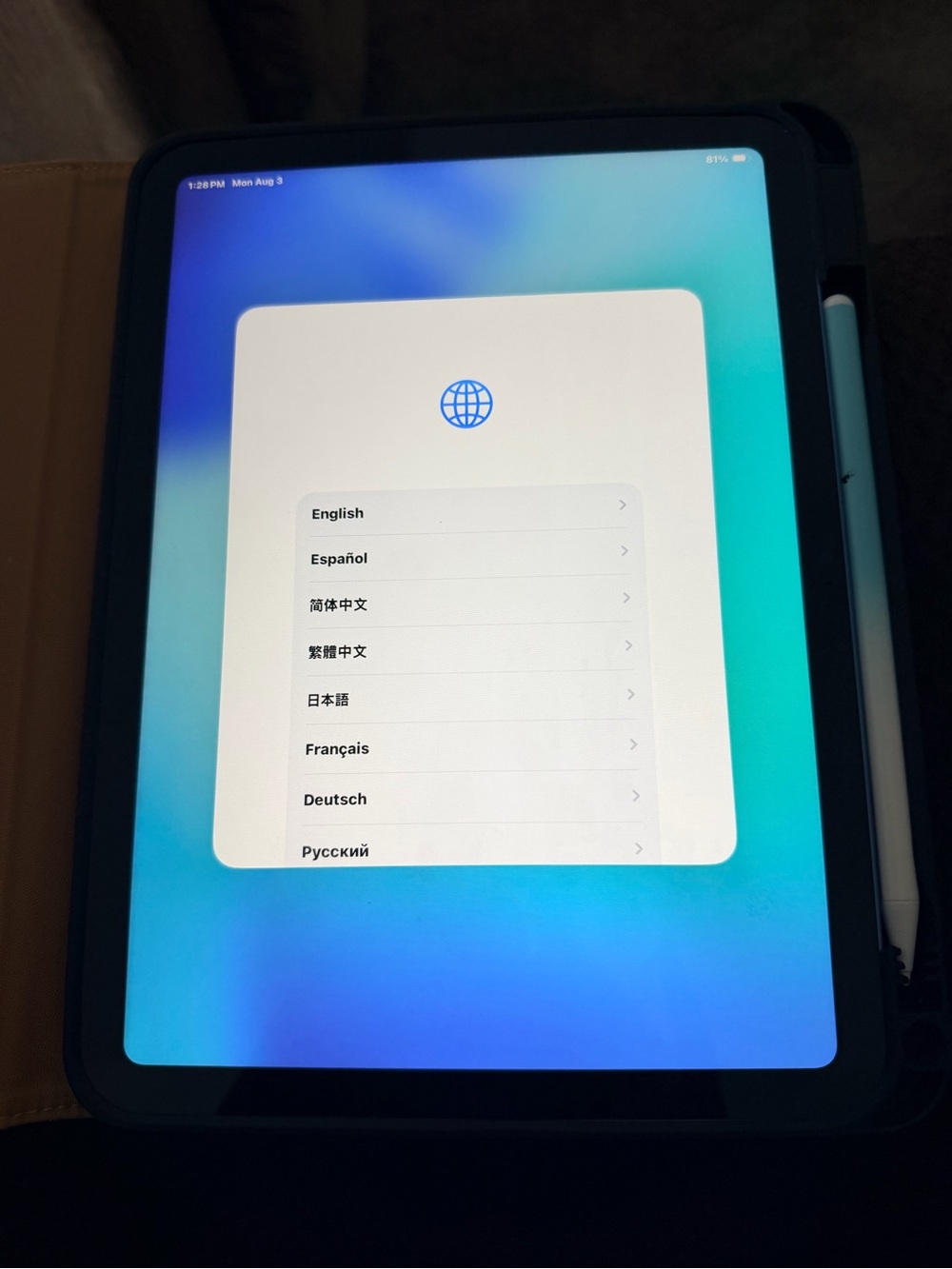 Apple iPad - Blue with case and White Pencil